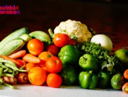 Makanan Tinggi Serat: Rahasia Sehat & Gaya Lebih Hidup Aktif