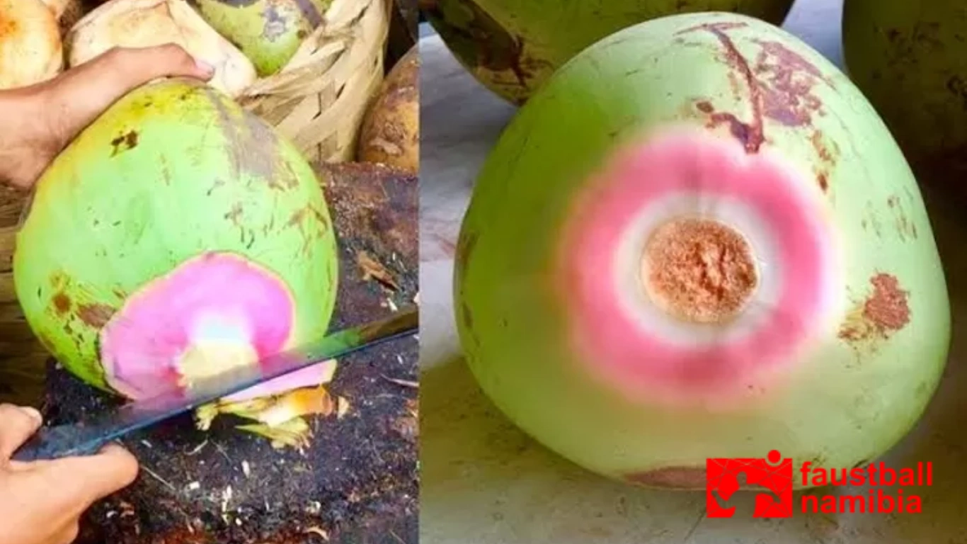 Kelapa Ijo