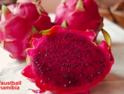 Manfaat Buah Naga: Superfood Eksotis Segudang Kesehatan