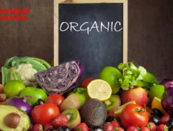 Makanan Organik: Pilihan Sehat untuk Gaya Hidup Modern