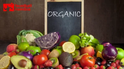 makanan organic