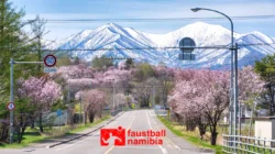 Hokkaido: Pesona Alam dan Kuliner dari Utara Jepang