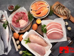 Diet Karnivor: Pola Makan Berbasis Hewani yang Kontroversial