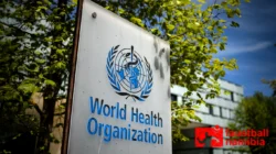 World Health Organization (WHO): Peran Penting dalam Menjaga Kesehatan Dunia