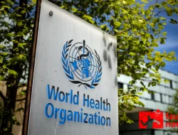 World Health Organization (WHO): Peran Penting dalam Menjaga Kesehatan Dunia