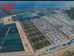 Tambak Udang: Peluang Bisnis Perikanan yang Menguntungkan