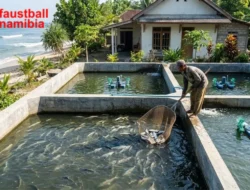 Budidaya Ikan Bandeng: Panduan Lengkap untuk Pemula